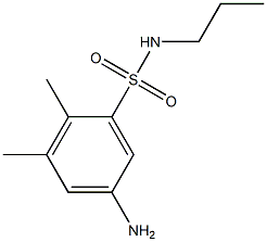 5-amino-2,3-dimethyl-N-propylbenzene-1-sulfonamide 化学構造式