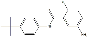 5-amino-N-(4-tert-butylphenyl)-2-chlorobenzamide,,结构式