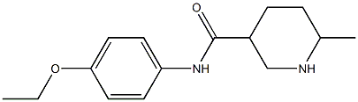 N-(4-ethoxyphenyl)-6-methylpiperidine-3-carboxamide 化学構造式