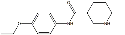 N-(4-ethoxyphenyl)-6-methylpiperidine-3-carboxamide Structure