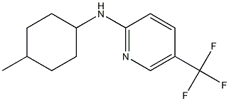 N-(4-methylcyclohexyl)-5-(trifluoromethyl)pyridin-2-amine,,结构式