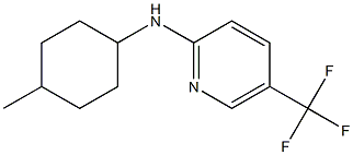 N-(4-methylcyclohexyl)-5-(trifluoromethyl)pyridin-2-amine Structure