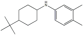 N-(4-tert-butylcyclohexyl)-3,4-dimethylaniline