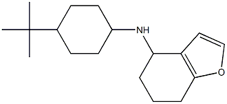 N-(4-tert-butylcyclohexyl)-4,5,6,7-tetrahydro-1-benzofuran-4-amine