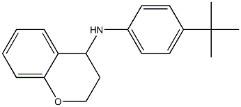 N-(4-tert-butylphenyl)-3,4-dihydro-2H-1-benzopyran-4-amine 化学構造式