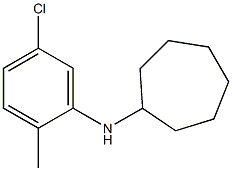 N-(5-chloro-2-methylphenyl)cycloheptanamine Structure