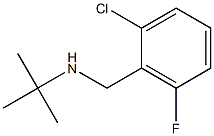 N-(tert-butyl)-N-(2-chloro-6-fluorobenzyl)amine 化学構造式