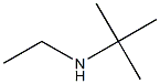 N-(tert-butyl)-N-ethylamine,,结构式