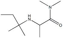 N,N-dimethyl-2-[(2-methylbutan-2-yl)amino]propanamide Structure