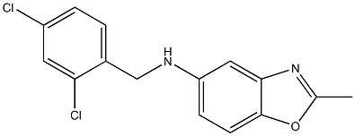 N-[(2,4-dichlorophenyl)methyl]-2-methyl-1,3-benzoxazol-5-amine