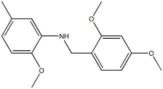 N-[(2,4-dimethoxyphenyl)methyl]-2-methoxy-5-methylaniline