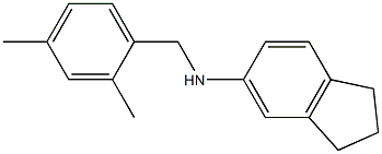 N-[(2,4-dimethylphenyl)methyl]-2,3-dihydro-1H-inden-5-amine