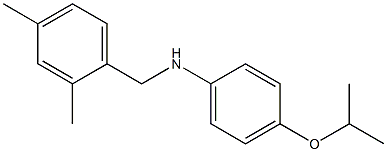 N-[(2,4-dimethylphenyl)methyl]-4-(propan-2-yloxy)aniline|