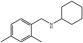 N-[(2,4-dimethylphenyl)methyl]cyclohexanamine,1019620-13-3,结构式