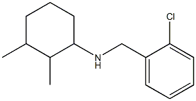 N-[(2-chlorophenyl)methyl]-2,3-dimethylcyclohexan-1-amine Struktur