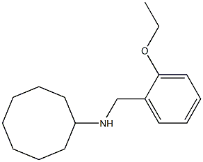 N-[(2-ethoxyphenyl)methyl]cyclooctanamine Structure