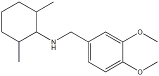 N-[(3,4-dimethoxyphenyl)methyl]-2,6-dimethylcyclohexan-1-amine