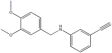 N-[(3,4-dimethoxyphenyl)methyl]-3-ethynylaniline 结构式