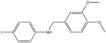 N-[(3,4-dimethoxyphenyl)methyl]-4-iodoaniline Struktur