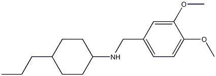 N-[(3,4-dimethoxyphenyl)methyl]-4-propylcyclohexan-1-amine,,结构式