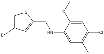 N-[(4-bromothiophen-2-yl)methyl]-4-chloro-2-methoxy-5-methylaniline,,结构式
