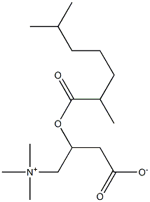 2,6 dimethylheptanoyl carnitine 化学構造式