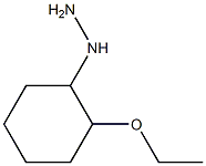 1-(2-ethoxycyclohexyl)hydrazine Structure