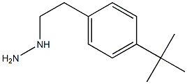 1-(4-tert-butylphenethyl)hydrazine,,结构式