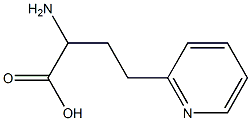 2-AMINO-4-(2-PYRIDINYL)BUTANOIC ACID 结构式