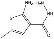 2-amino-5-methylthiophene-3-carbohydrazide 结构式