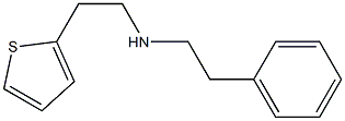 (2-phenylethyl)[2-(thiophen-2-yl)ethyl]amine,,结构式