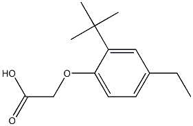 (2-tert-butyl-4-ethylphenoxy)acetic acid Struktur