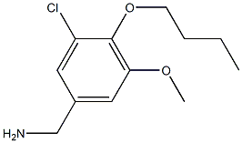 (4-butoxy-3-chloro-5-methoxyphenyl)methanamine|