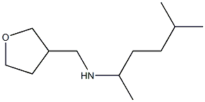 (5-methylhexan-2-yl)(oxolan-3-ylmethyl)amine 化学構造式