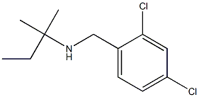 [(2,4-dichlorophenyl)methyl](2-methylbutan-2-yl)amine Structure