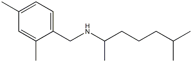 [(2,4-dimethylphenyl)methyl](6-methylheptan-2-yl)amine 化学構造式