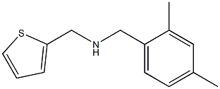 [(2,4-dimethylphenyl)methyl](thiophen-2-ylmethyl)amine Structure