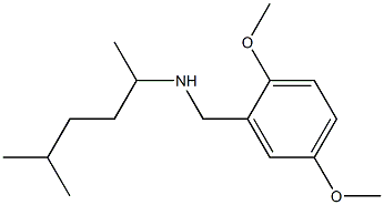 [(2,5-dimethoxyphenyl)methyl](5-methylhexan-2-yl)amine|