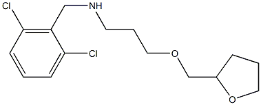 [(2,6-dichlorophenyl)methyl][3-(oxolan-2-ylmethoxy)propyl]amine Structure