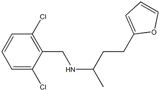 [(2,6-dichlorophenyl)methyl][4-(furan-2-yl)butan-2-yl]amine Structure