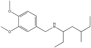 [(3,4-dimethoxyphenyl)methyl](5-methylheptan-3-yl)amine 化学構造式