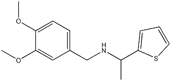 [(3,4-dimethoxyphenyl)methyl][1-(thiophen-2-yl)ethyl]amine 结构式