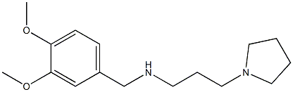 [(3,4-dimethoxyphenyl)methyl][3-(pyrrolidin-1-yl)propyl]amine,,结构式
