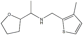  [(3-methylthiophen-2-yl)methyl][1-(oxolan-2-yl)ethyl]amine