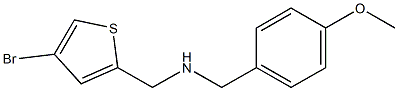 [(4-bromothiophen-2-yl)methyl][(4-methoxyphenyl)methyl]amine|