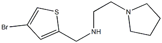 [(4-bromothiophen-2-yl)methyl][2-(pyrrolidin-1-yl)ethyl]amine