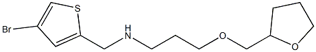 [(4-bromothiophen-2-yl)methyl][3-(oxolan-2-ylmethoxy)propyl]amine