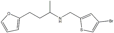 [(4-bromothiophen-2-yl)methyl][4-(furan-2-yl)butan-2-yl]amine Structure