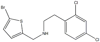 [(5-bromothiophen-2-yl)methyl][2-(2,4-dichlorophenyl)ethyl]amine|