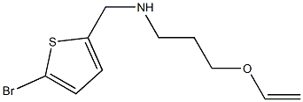 [(5-bromothiophen-2-yl)methyl][3-(ethenyloxy)propyl]amine